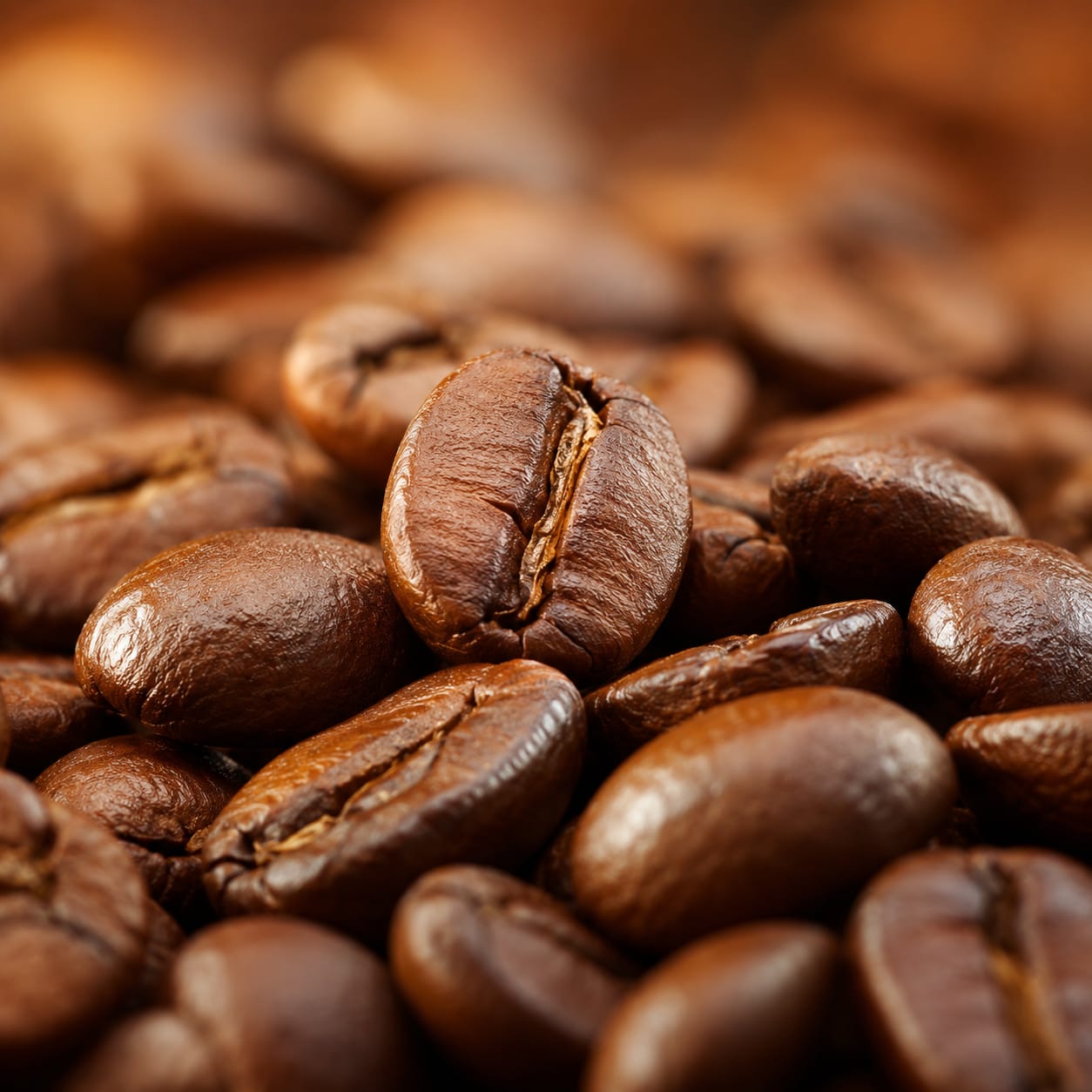 Close-up of freshly roasted coffee beans, the cover image for Windmill Gifts' guide to the best coffee gift sets.